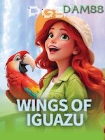 Wings Of Iguazu game cover